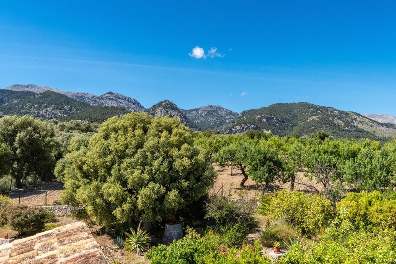 Finca Son Arnau Selva  Exterior photo